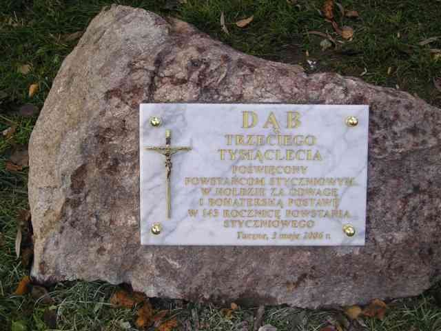 P1010049_640x480